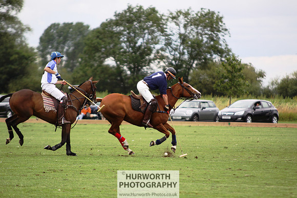 White Rose Polo 096