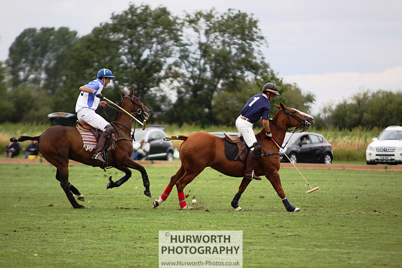 White Rose Polo 097