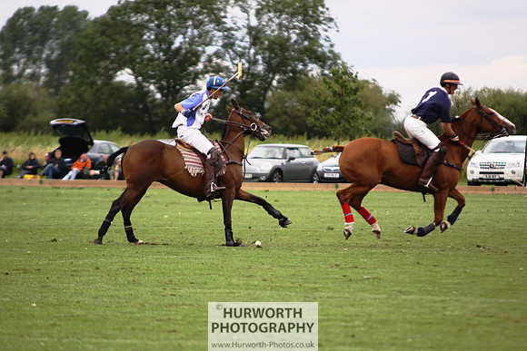 White Rose Polo 098
