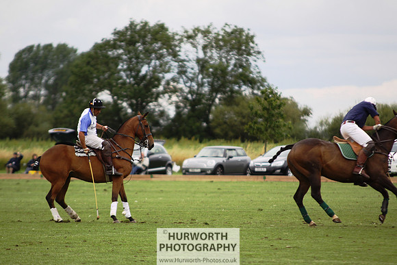 White Rose Polo 099