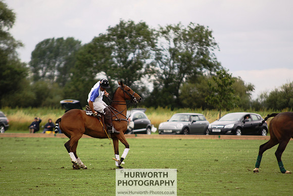 White Rose Polo 100
