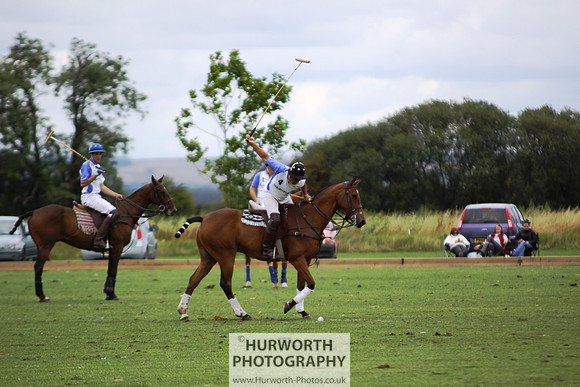 White Rose Polo 101