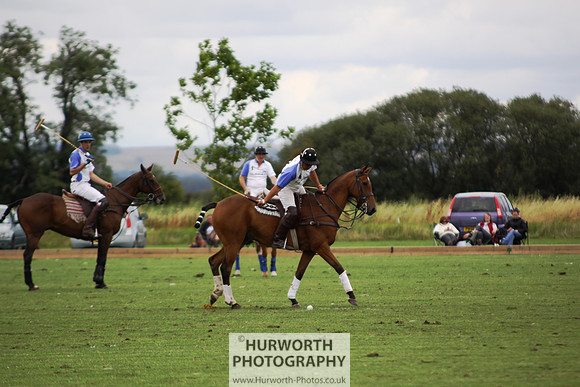 White Rose Polo 102