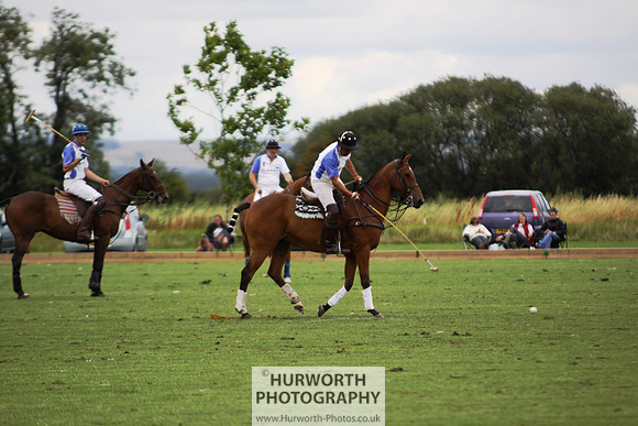 White Rose Polo 103