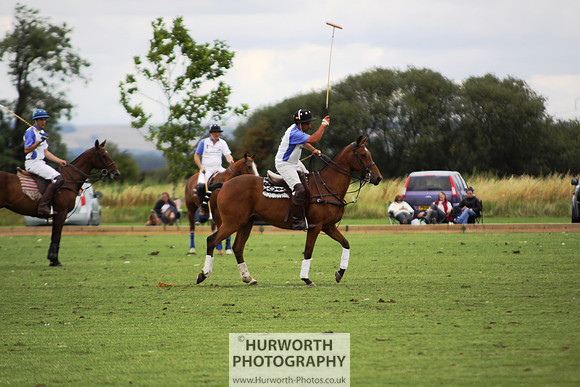White Rose Polo 104