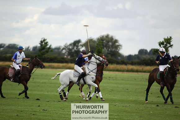 White Rose Polo 108
