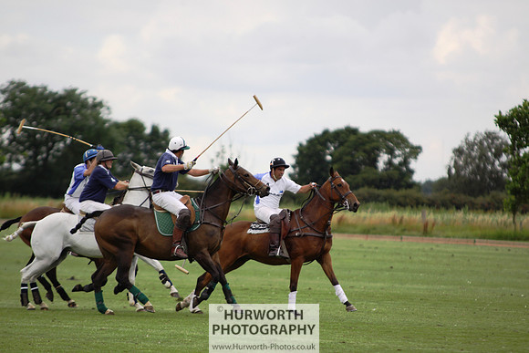 White Rose Polo 110