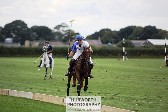 White Rose Polo 111