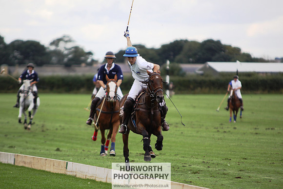 White Rose Polo 112