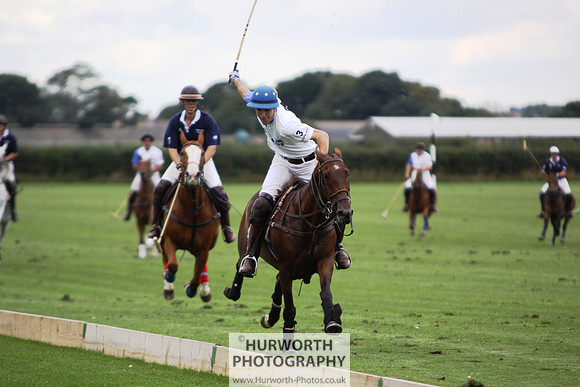 White Rose Polo 113