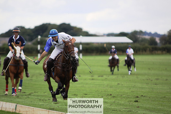 White Rose Polo 114