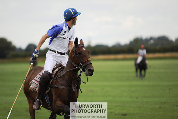 White Rose Polo 116