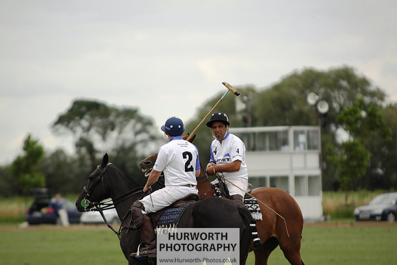 White Rose Polo 117