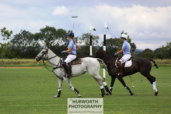 White Rose Polo 001