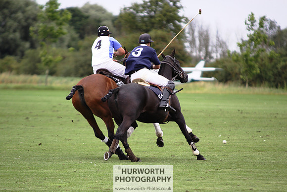White Rose Polo 126
