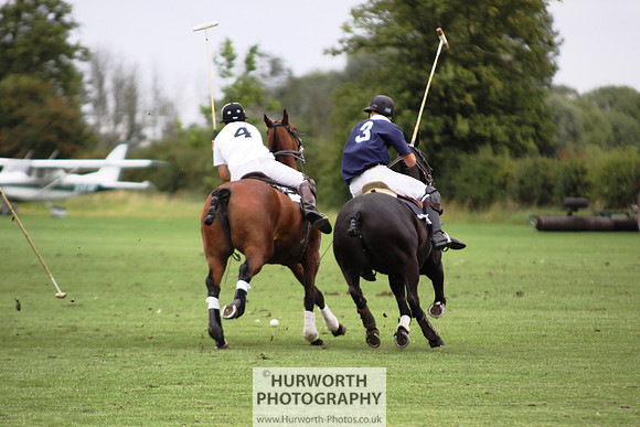 White Rose Polo 127
