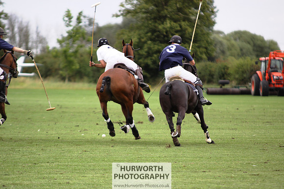 White Rose Polo 128