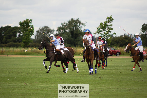 White Rose Polo 004