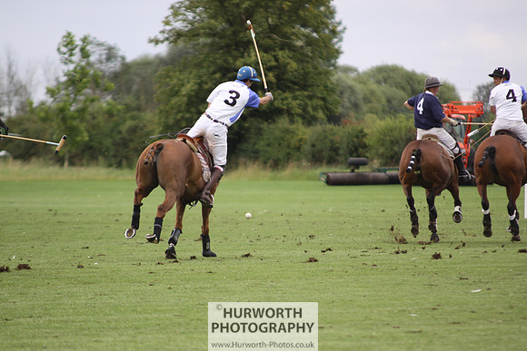 White Rose Polo 129