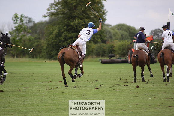 White Rose Polo 130