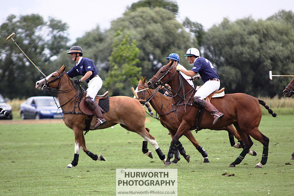 White Rose Polo 131