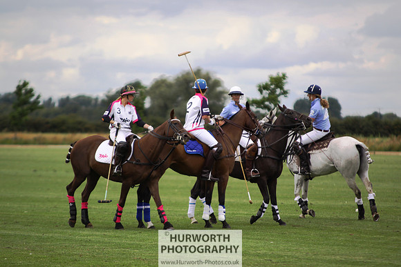 White Rose Polo 005