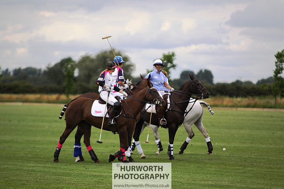 White Rose Polo 006