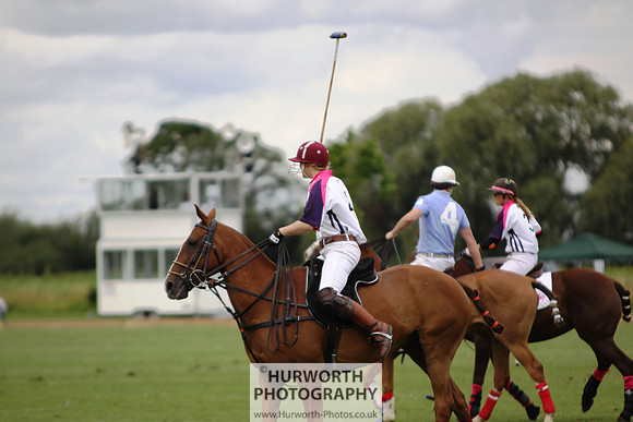 White Rose Polo 007