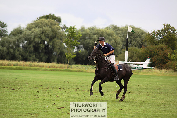 White Rose Polo 132