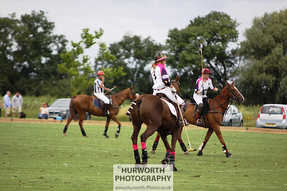 White Rose Polo 008
