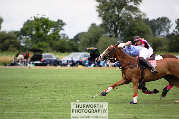 White Rose Polo 009