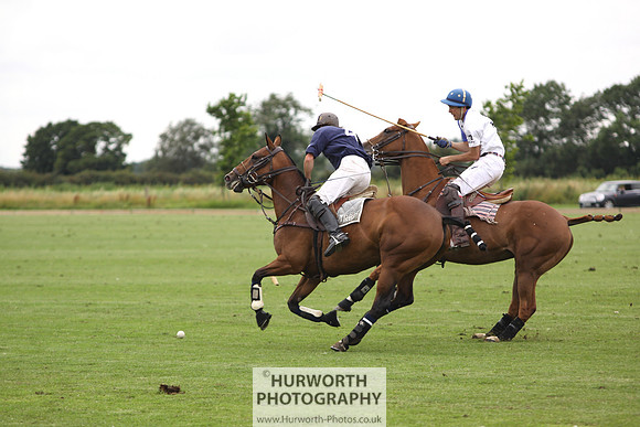 White Rose Polo 133