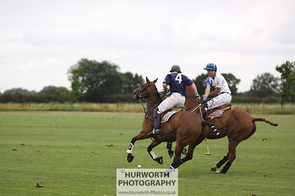 White Rose Polo 134