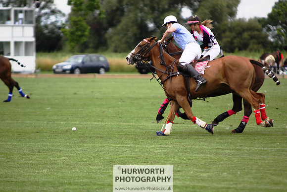 White Rose Polo 010