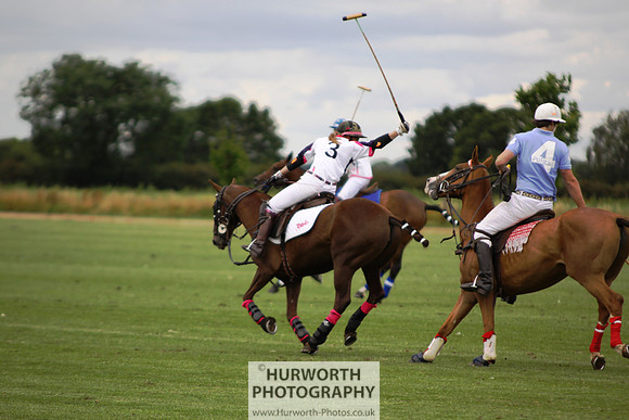 White Rose Polo 011