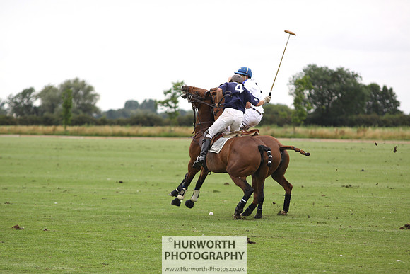 White Rose Polo 136
