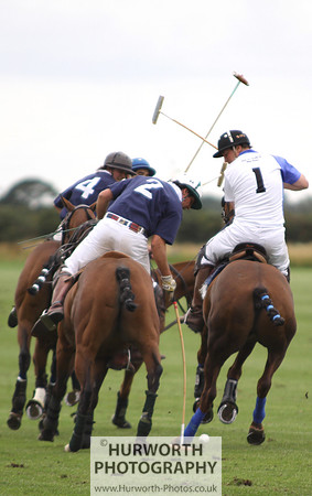White Rose Polo 137