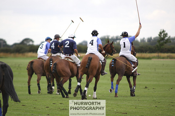 White Rose Polo 138