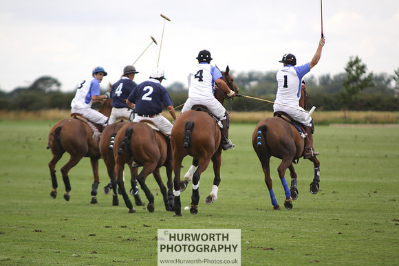 White Rose Polo 139