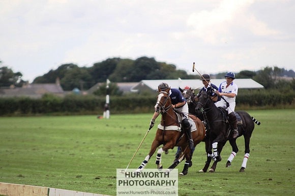 White Rose Polo 141