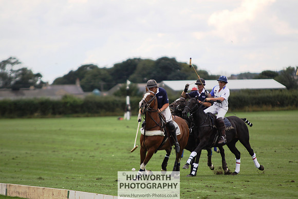 White Rose Polo 142