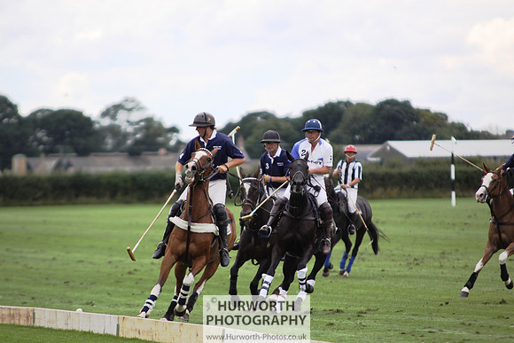 White Rose Polo 143