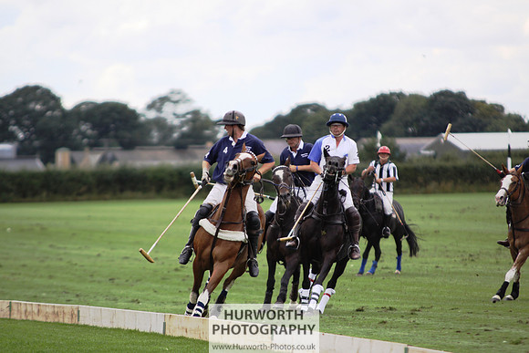 White Rose Polo 144