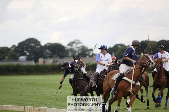 White Rose Polo 145
