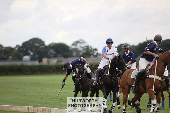White Rose Polo 146