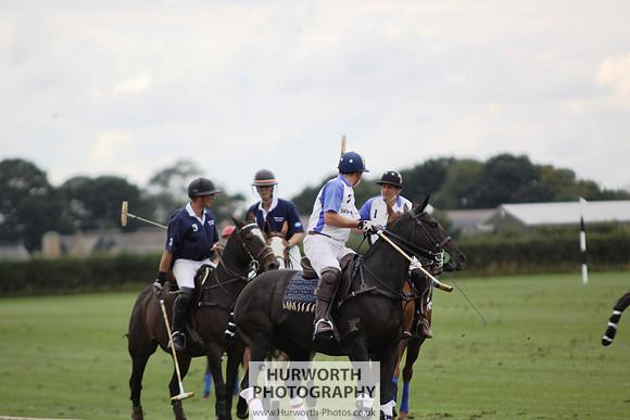 White Rose Polo 147