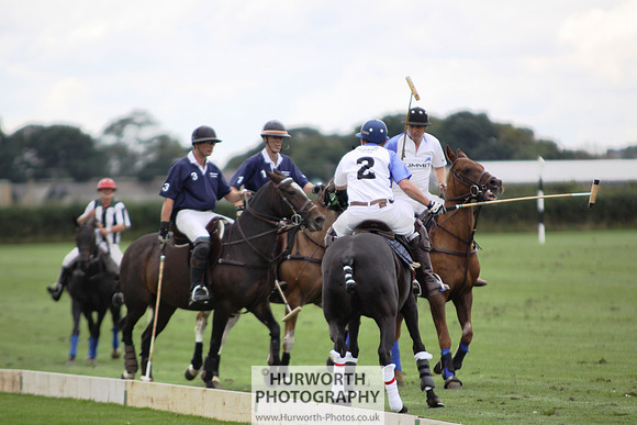 White Rose Polo 148
