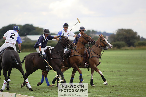 White Rose Polo 149
