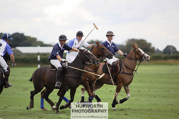 White Rose Polo 150