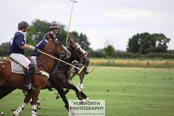 White Rose Polo 151